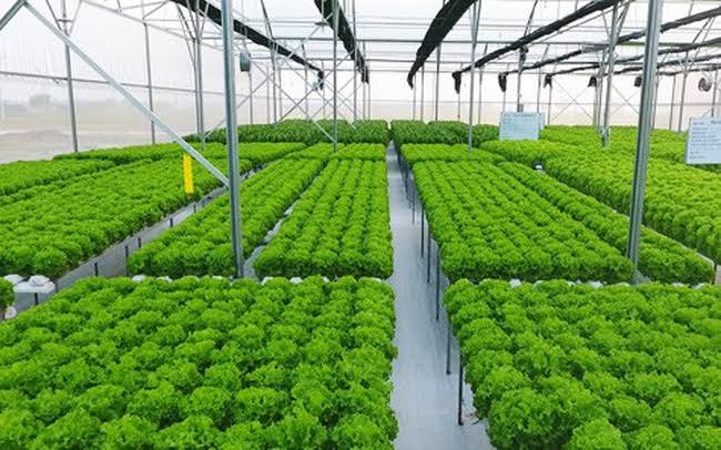 Máy Phát Điện Cho Trang Trại Nông Nghiệp Power Pro