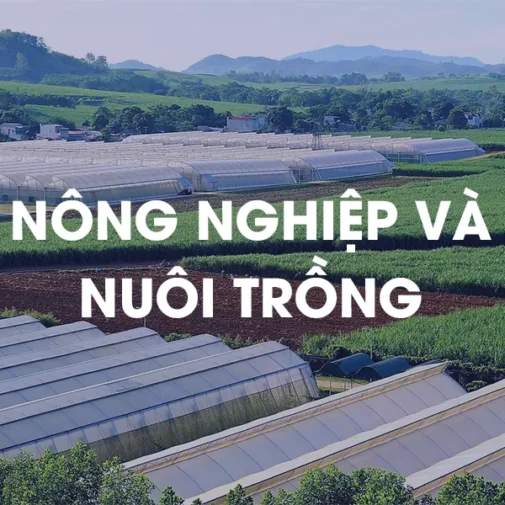 Máy phát điện cho nông nghiệp và trang trại nuôi trồng
