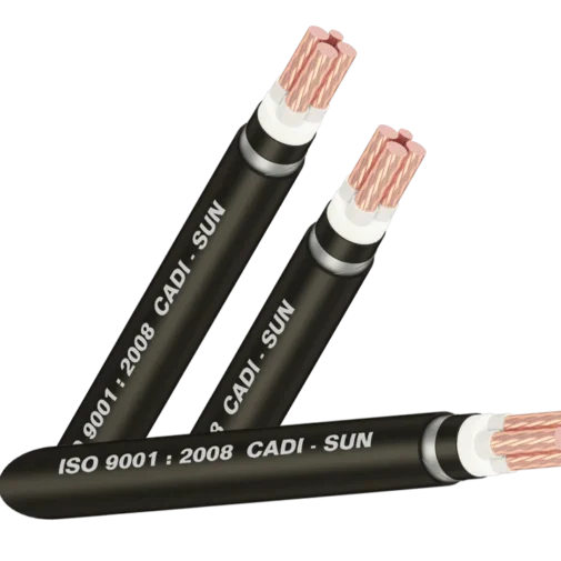 Cáp điện lực Cu/PVC 3×300+1×185