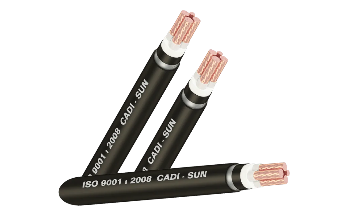 Cáp điện lực Cu/PVC 3×300+1×185